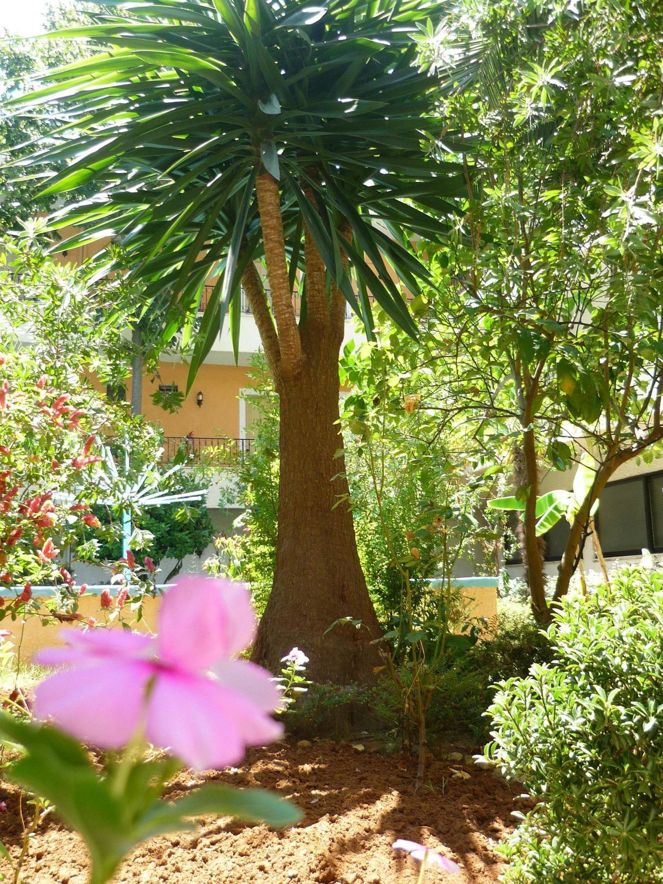 Alkionis Hotel Moraḯtika